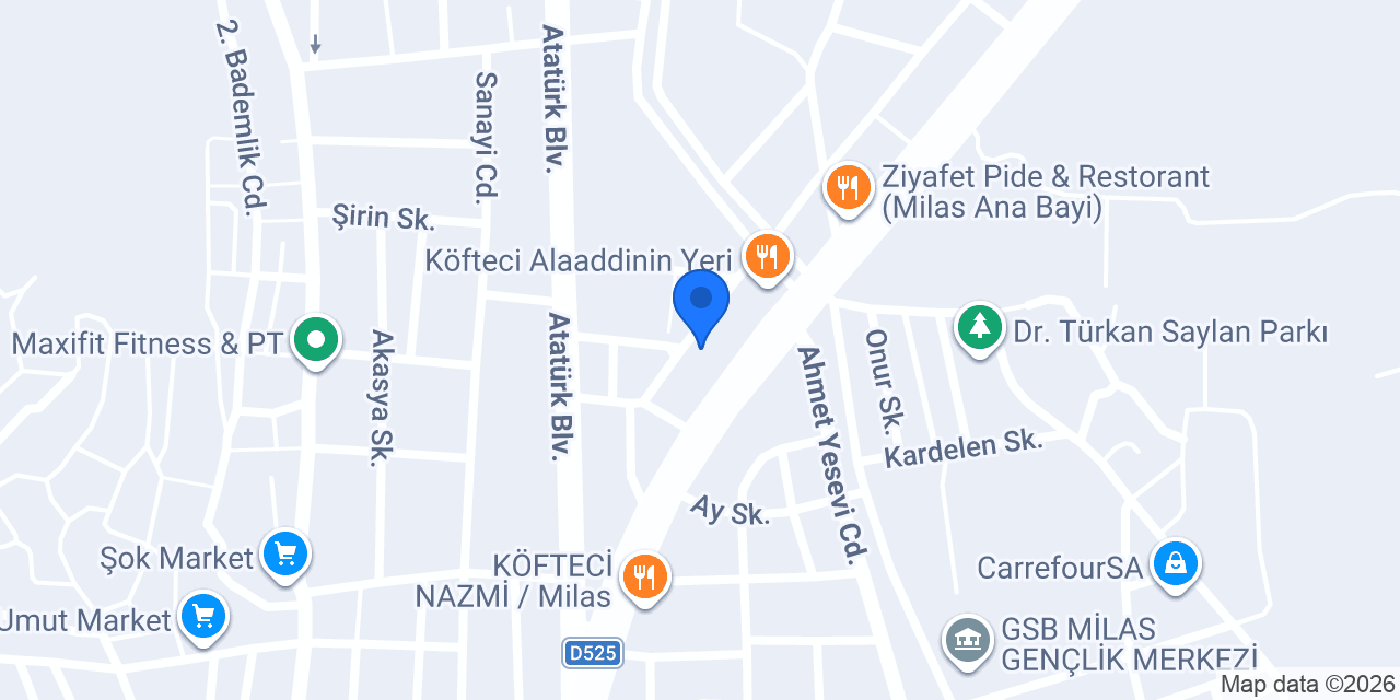 DEFNE ET KASAP MİLAS konumu