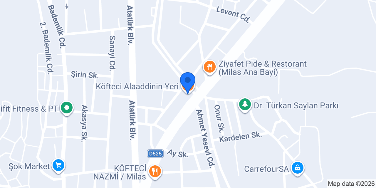 Köfteci Alaaddinin Yeri konumu