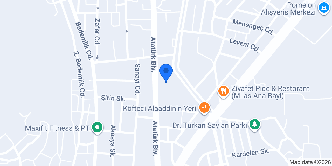 Milas Anadolu Lisesi konumu