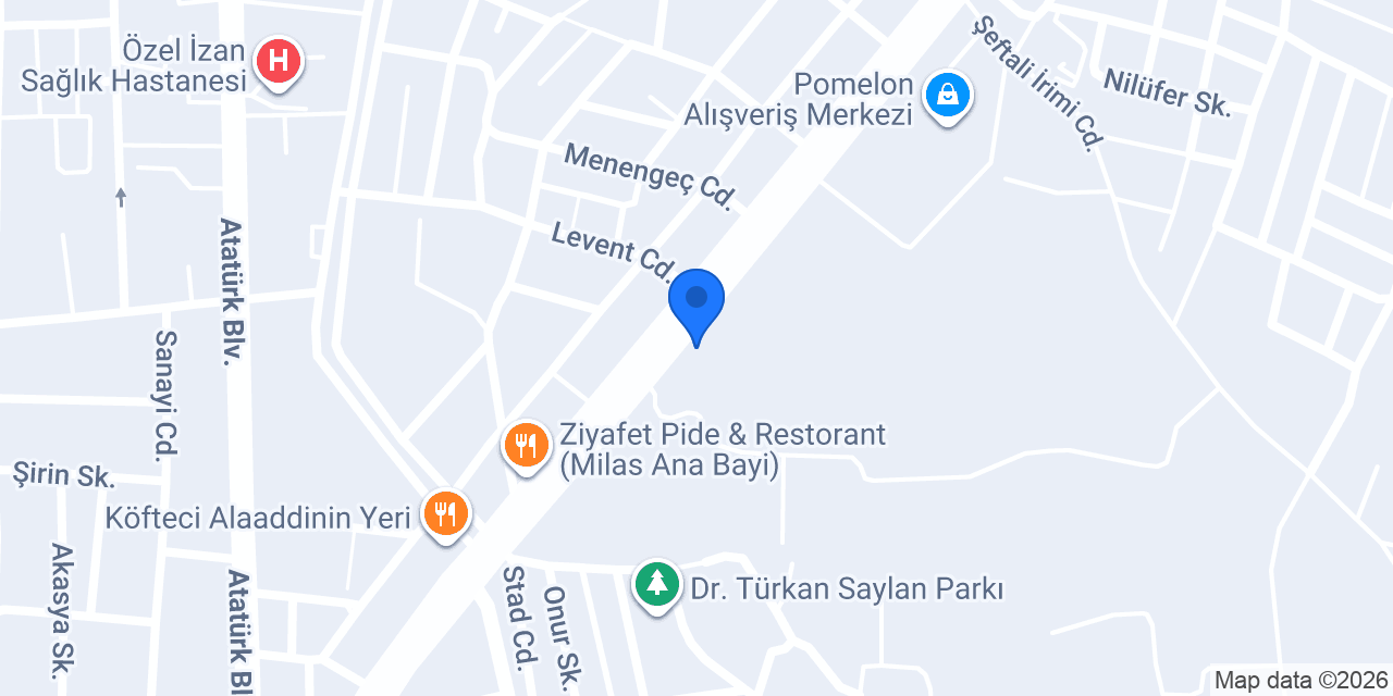 Altın Emlak Milas konumu