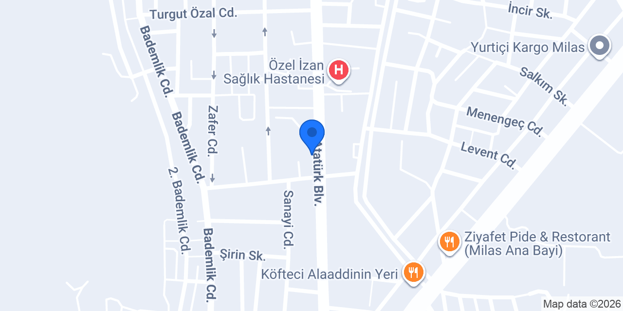 Domino's Pizza Milas konumu