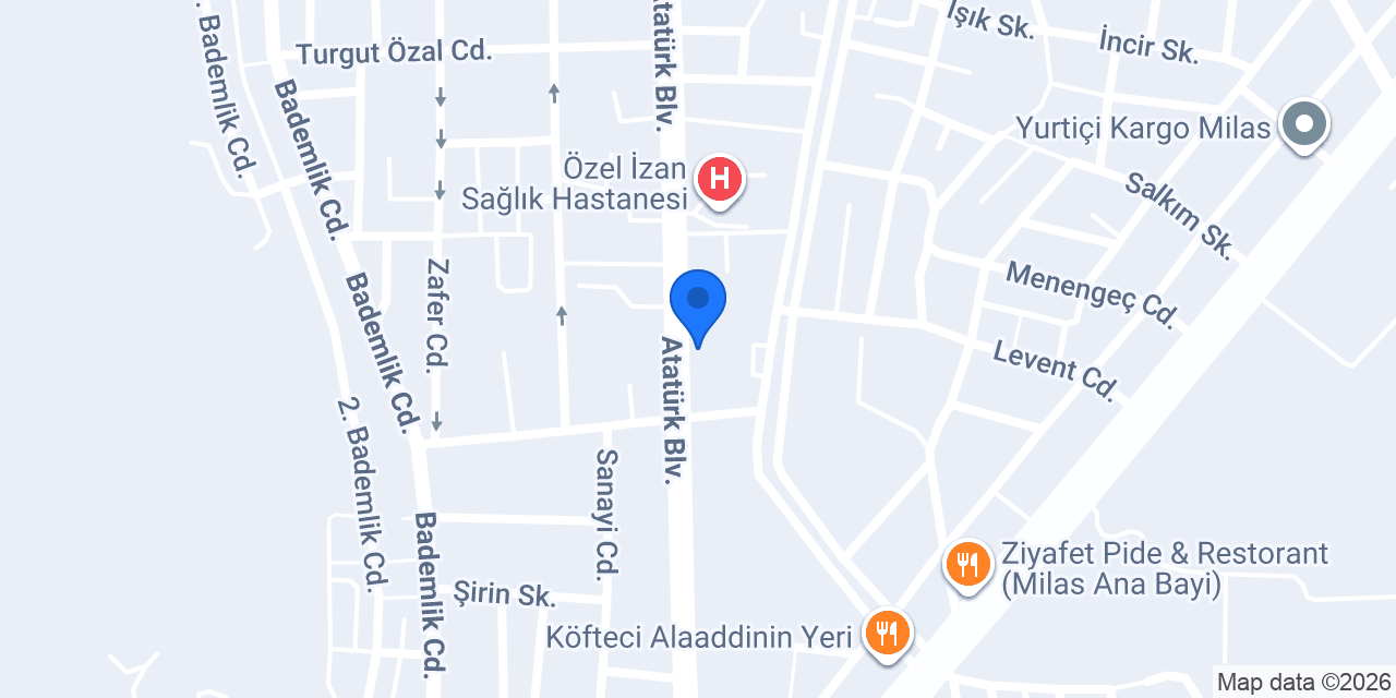 33 Mersin Tantuni Milas konumu