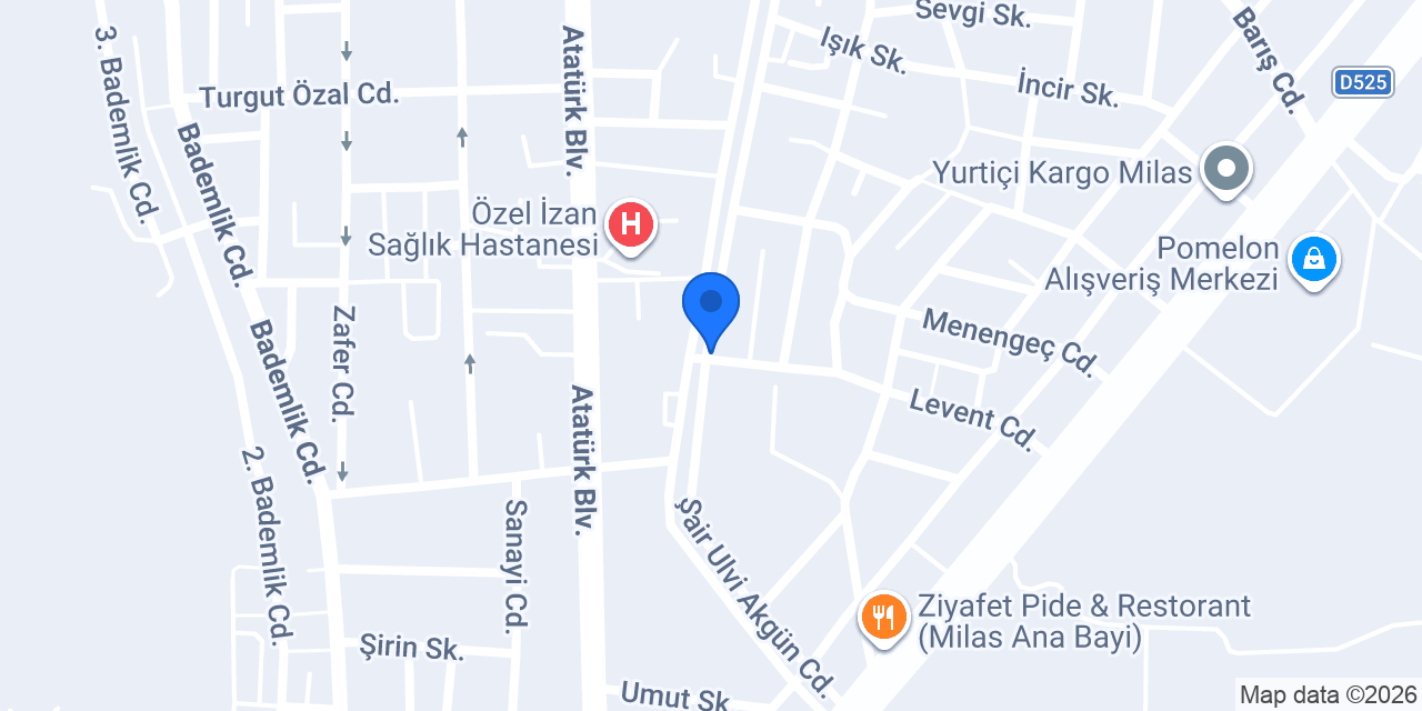 arı harita müh.pl.tic.ltd.şti. konumu