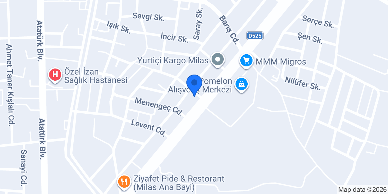 Cem Motor Milas konumu