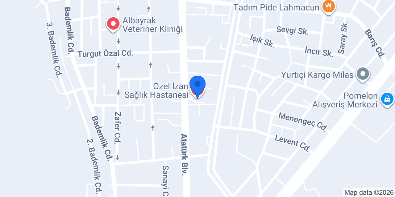 Özel İzan Sağlık Hastanesi konumu
