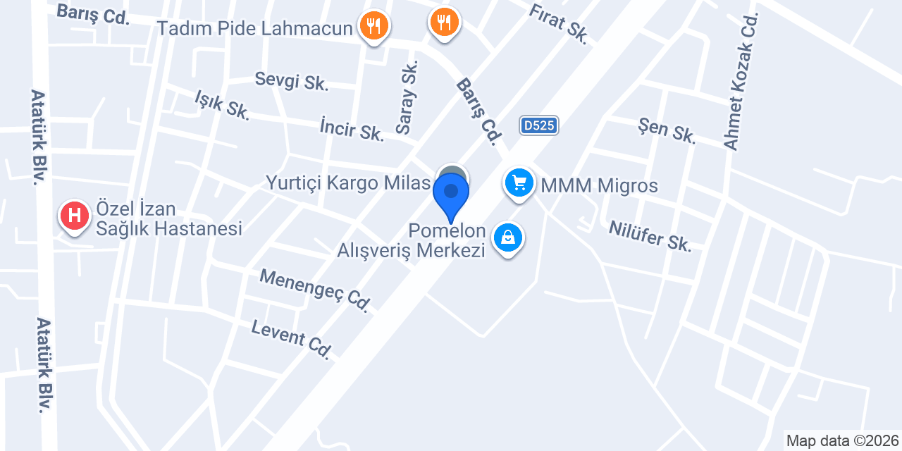 MODEL 48 KİTAP KIRTASİYE OYUNCAK konumu