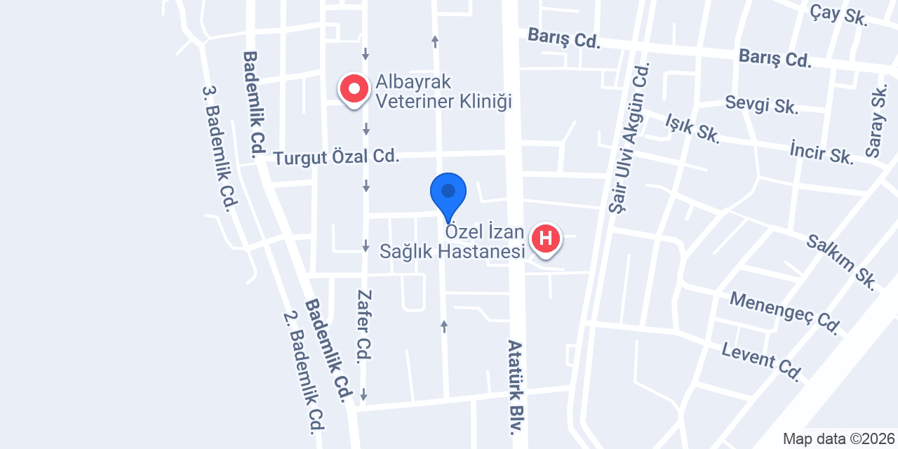 Avukat Dilek Yaşar Akkaya konumu