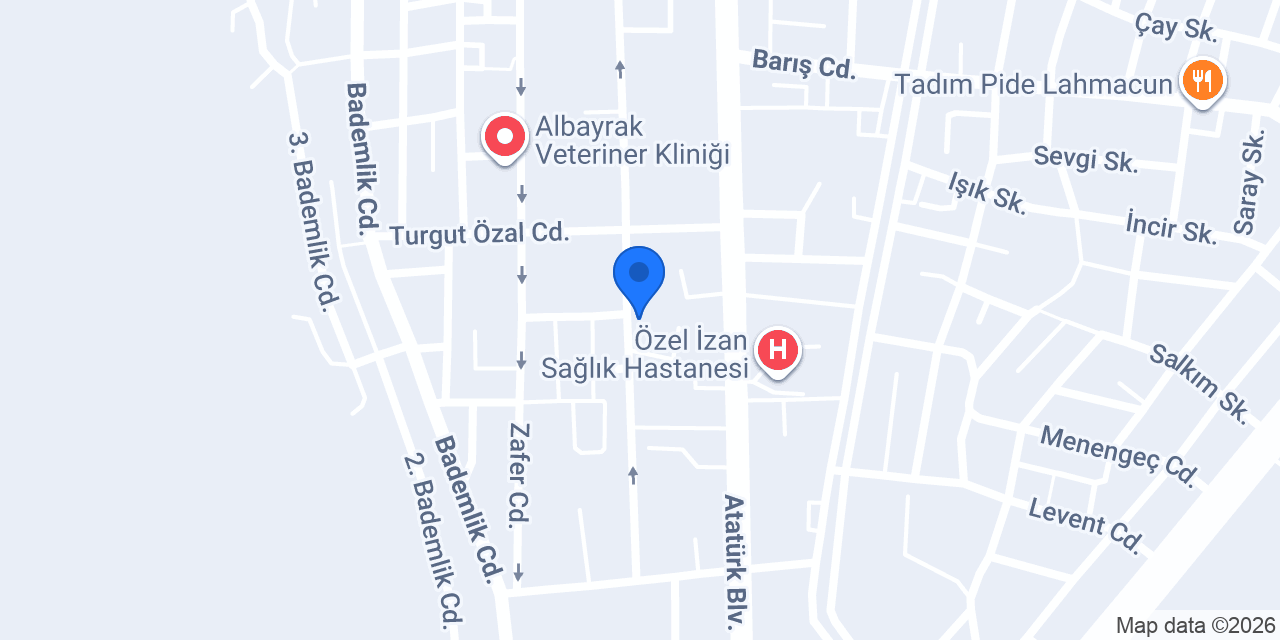 Avukat Neşe Sultan Kuray konumu