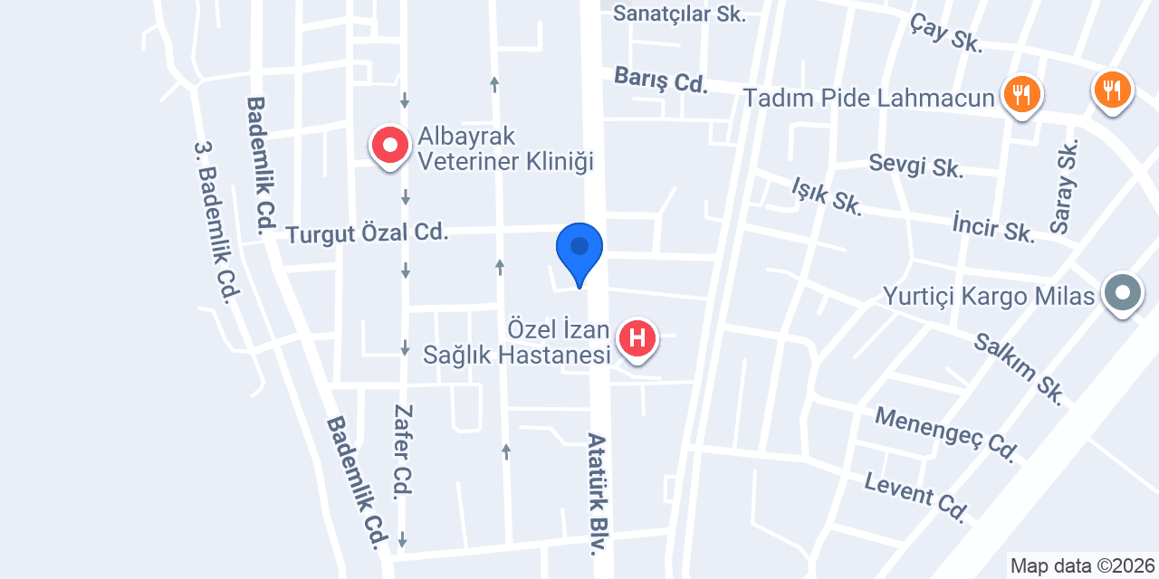ELvan Optik - Milas konumu
