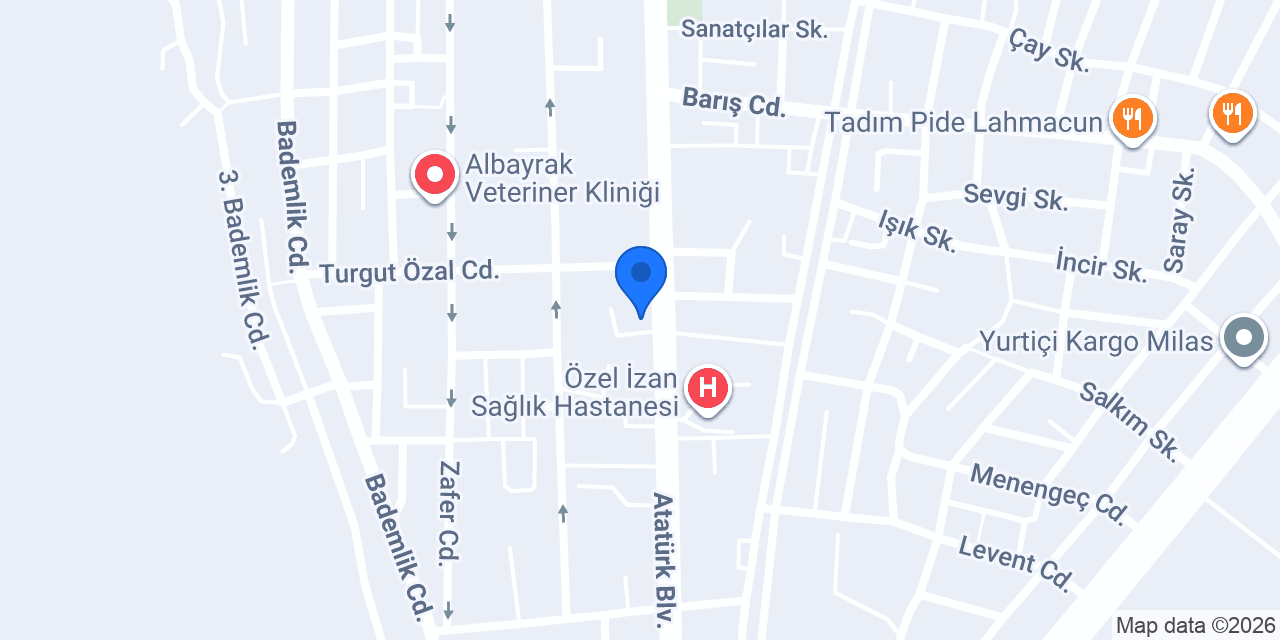 AVUKAT BURAK KOCADAL konumu