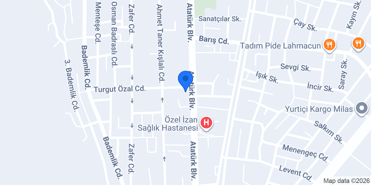 DÜNYA DÖNER MİLAS konumu