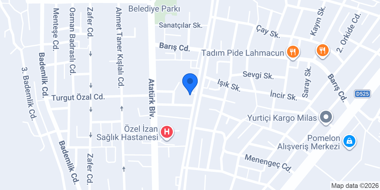 VİP BERBER (milas) konumu