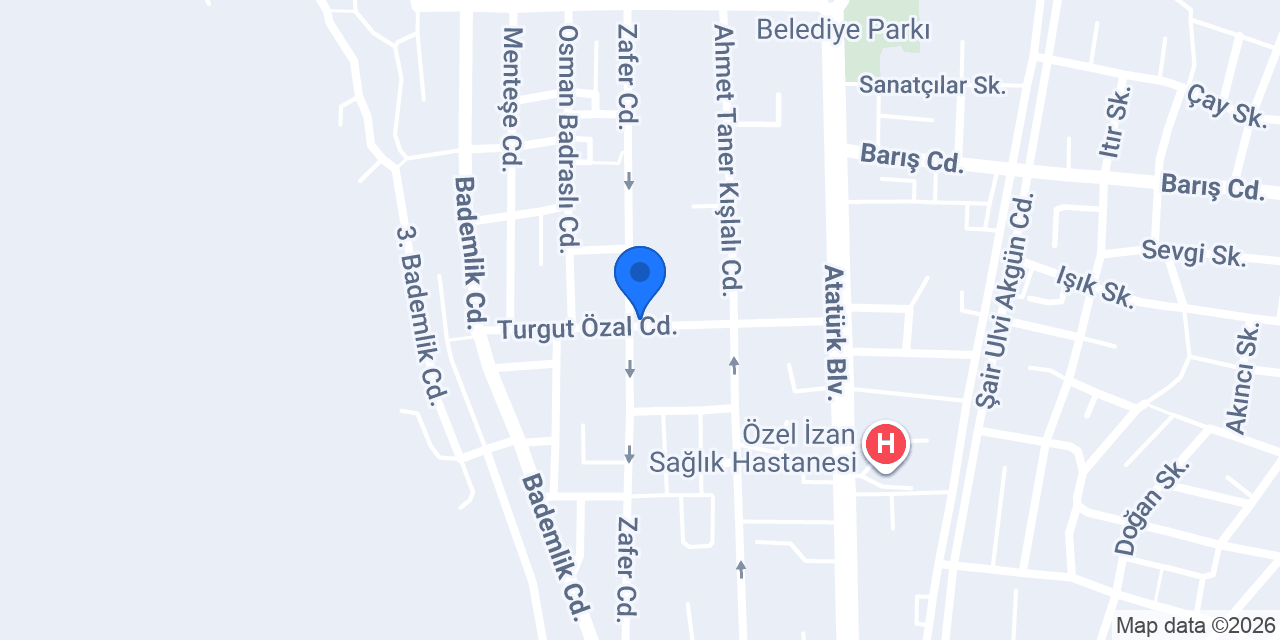 UZAY EMLAK MİLAS konumu