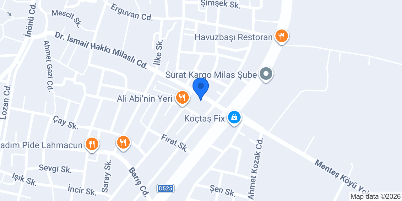 AVCILAR EMLAK MİLAS konumu
