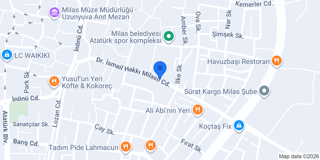 Bozkurt Temizlik konumu