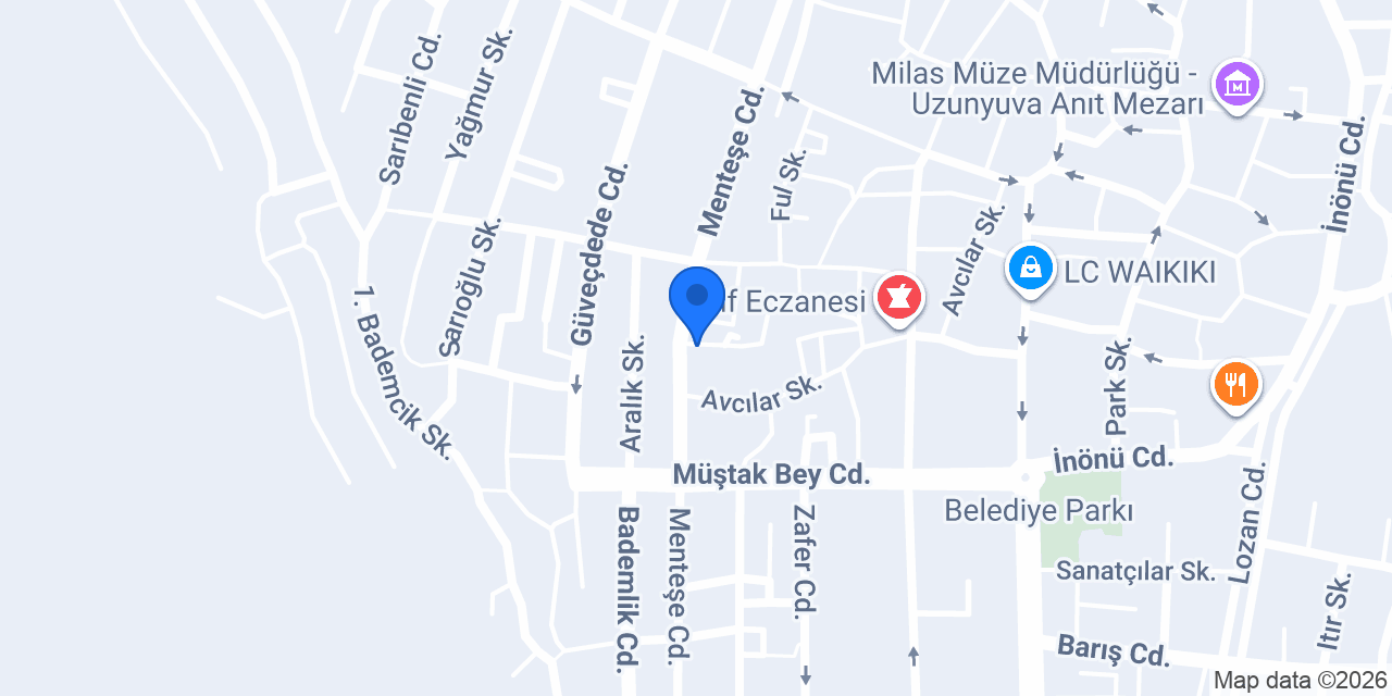 Özel Milas Keskin Sürücü Kursu konumu