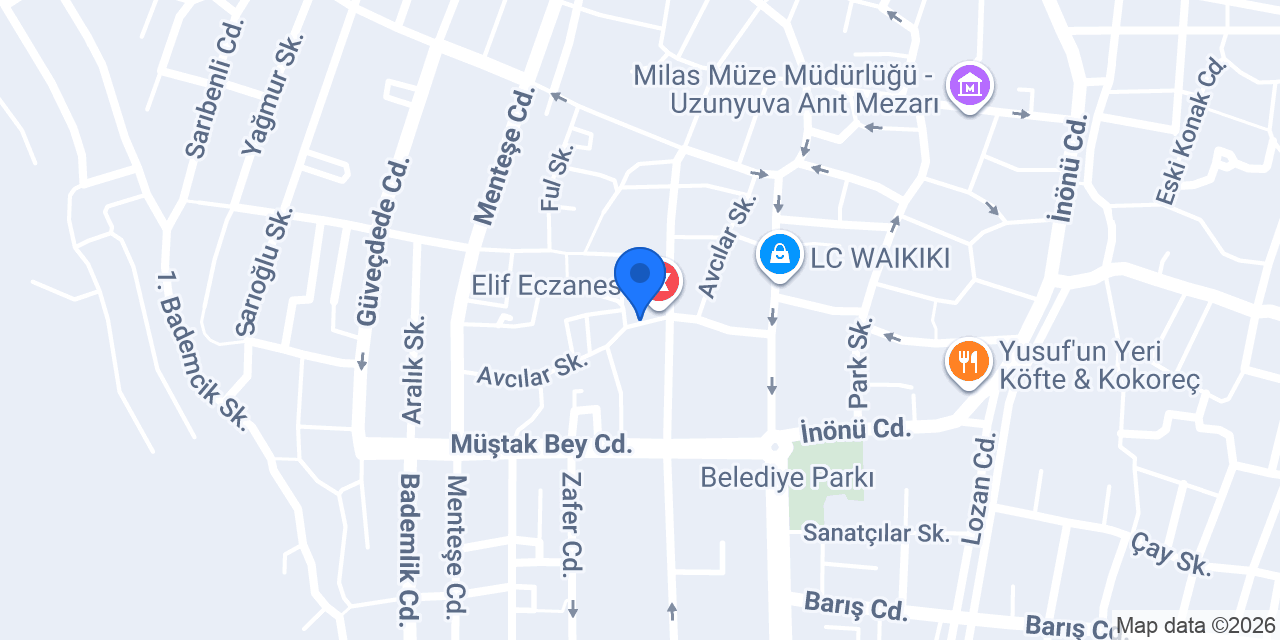 Fizyo Life Milas konumu