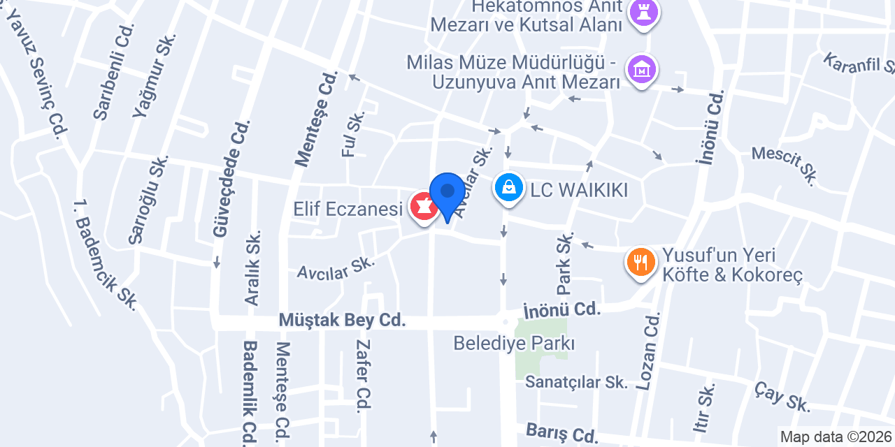 Ayşegül Aydın Optik konumu