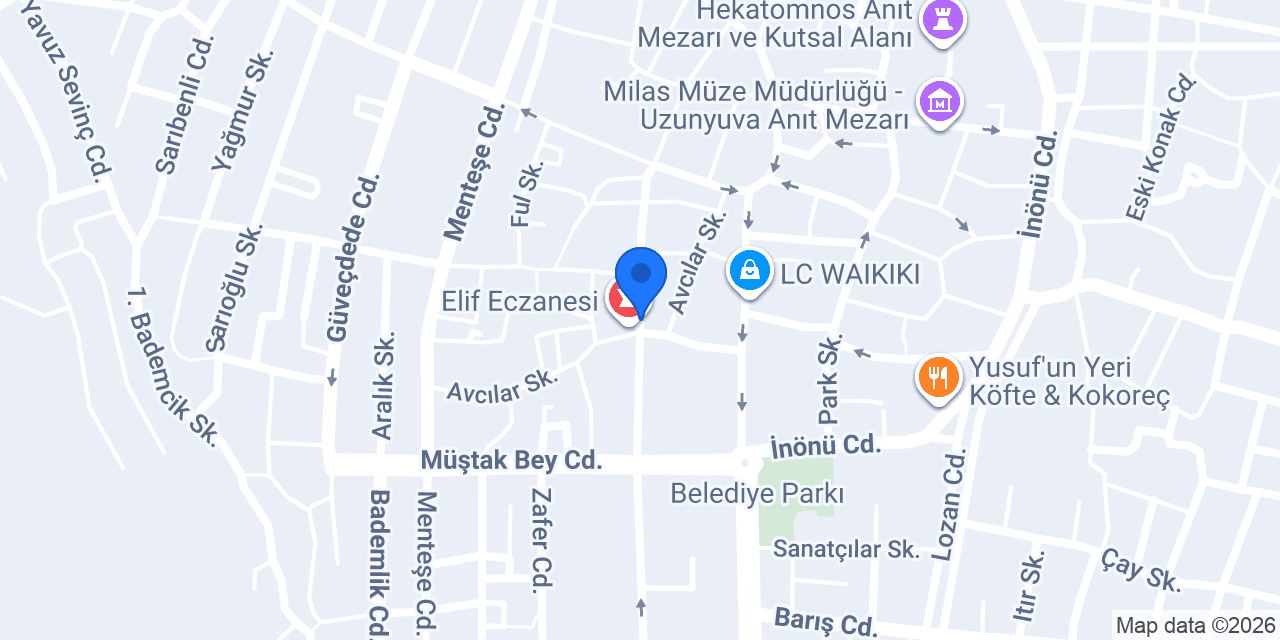 Koca karia aktar konumu