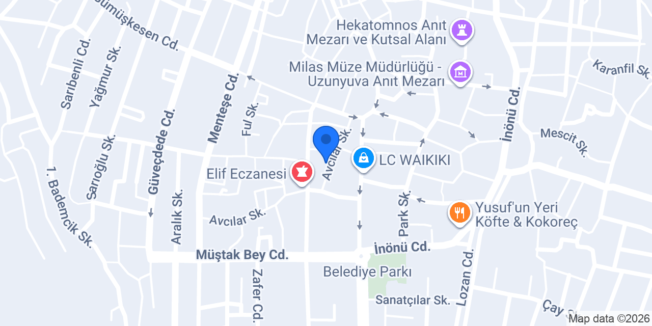 ENES ELEKTRİK konumu