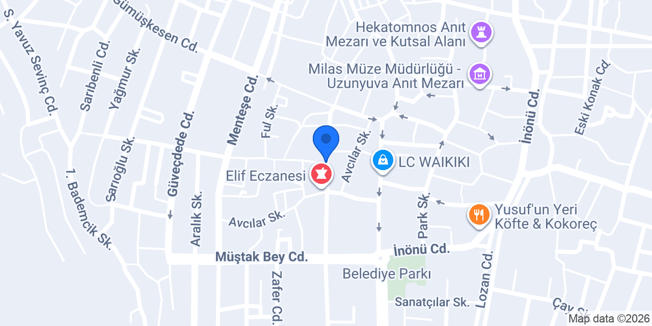 Ekrem Coşkun Döner Milas konumu