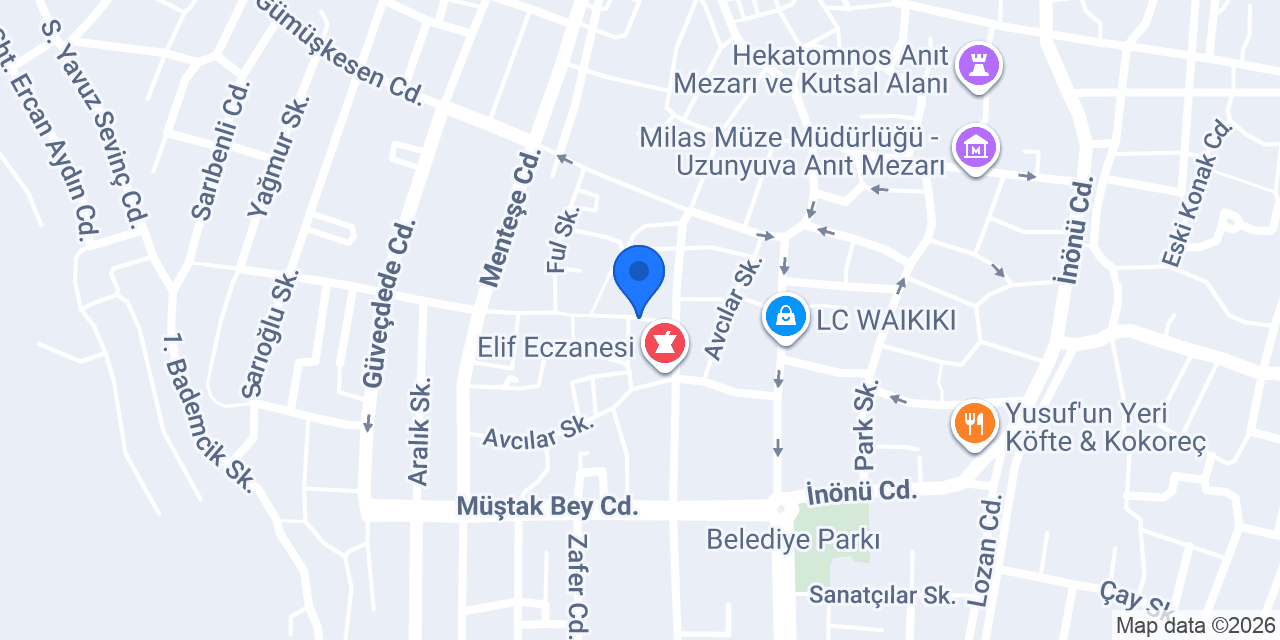 MİLAS ANKA EMLAK konumu