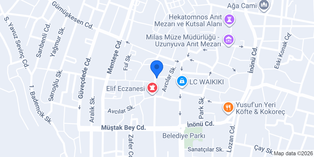 Avukat Ecem Nur Timurtaş konumu