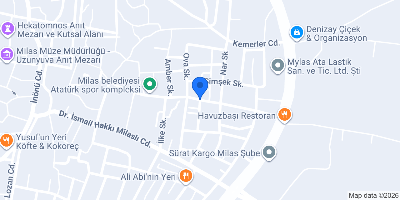 MİLAS YIKAMA konumu
