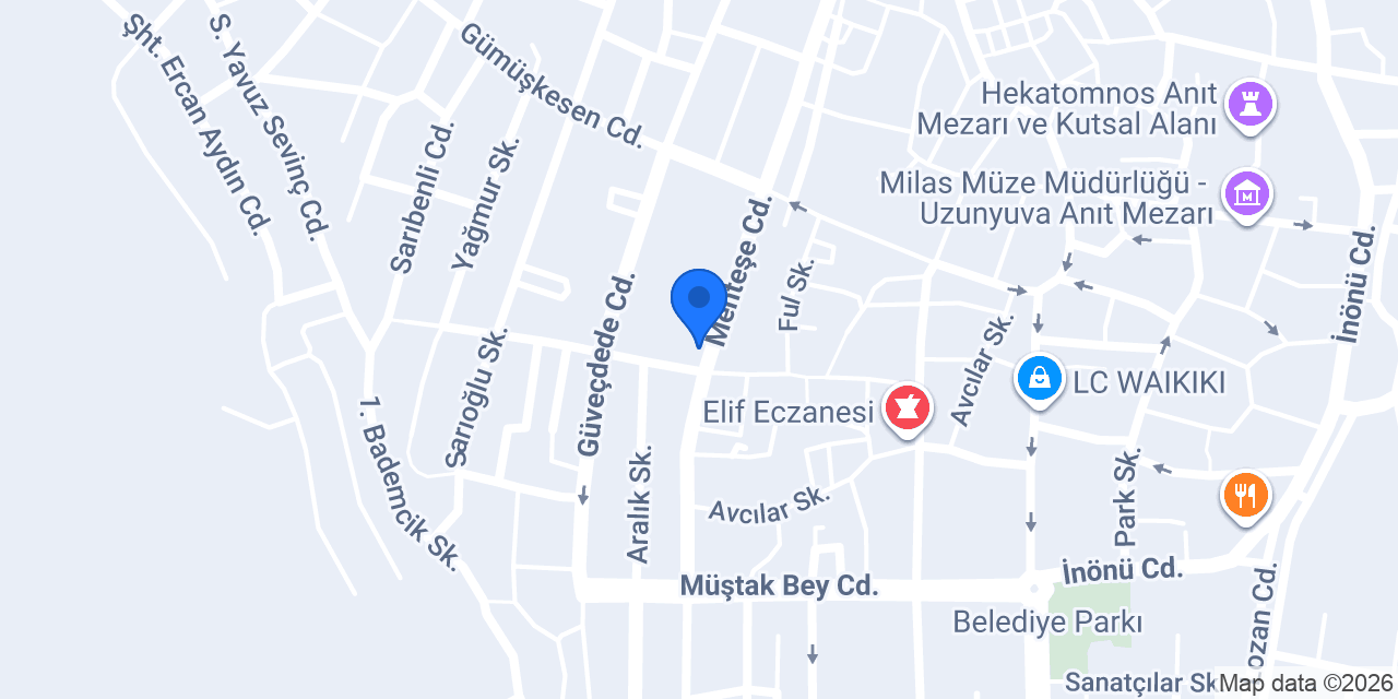 Serbest Muhasebeci Gürsel Ülgün konumu