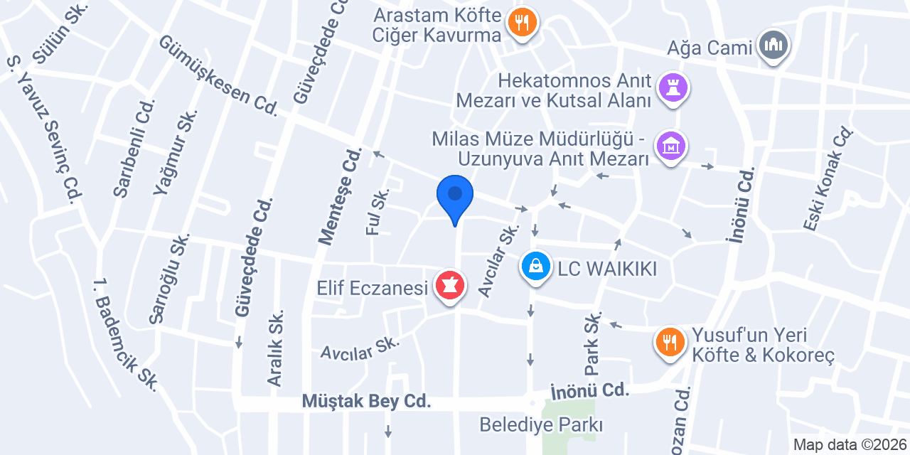 Arıcan Sarrafiye konumu