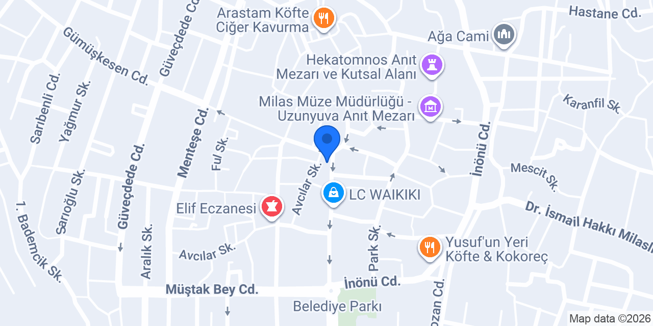 Yiğit Sarrafiye konumu