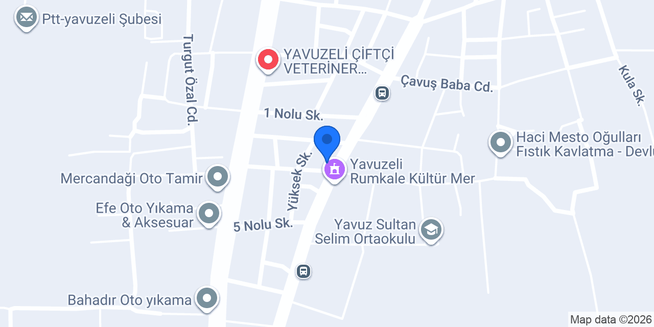 Foncuoğlu Otomotiv konumu