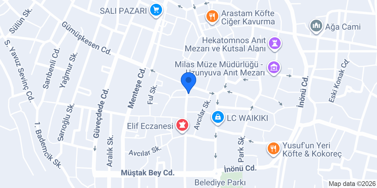 ALÂ DÖNER SALONU MİLAS konumu