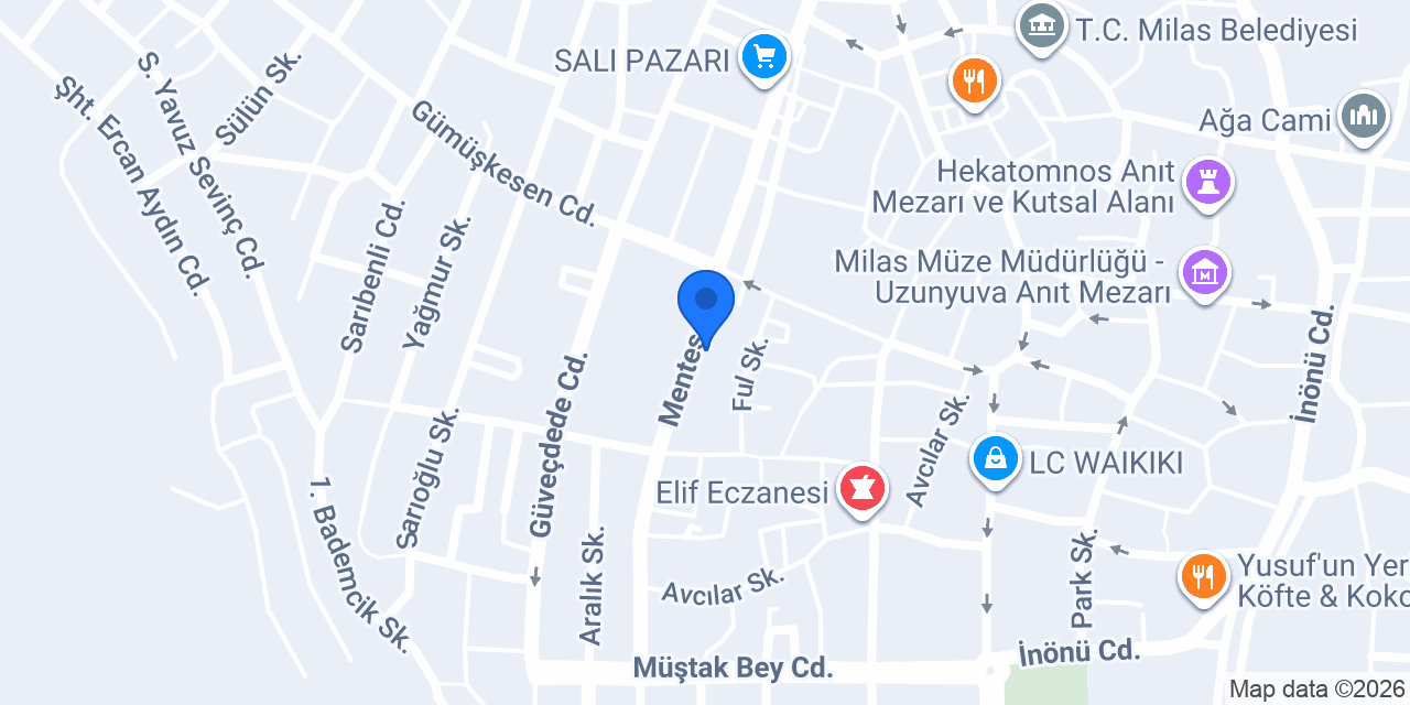 Kasap Turan konumu
