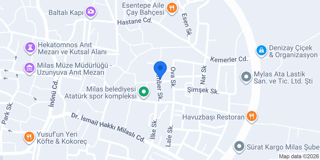 Mavi Erkek Kuaförü konumu