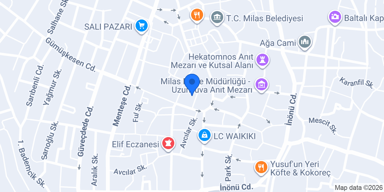 Star Elektronik konumu