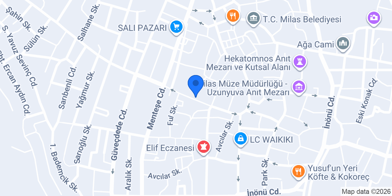 Dr. Yılmaz Özbek konumu
