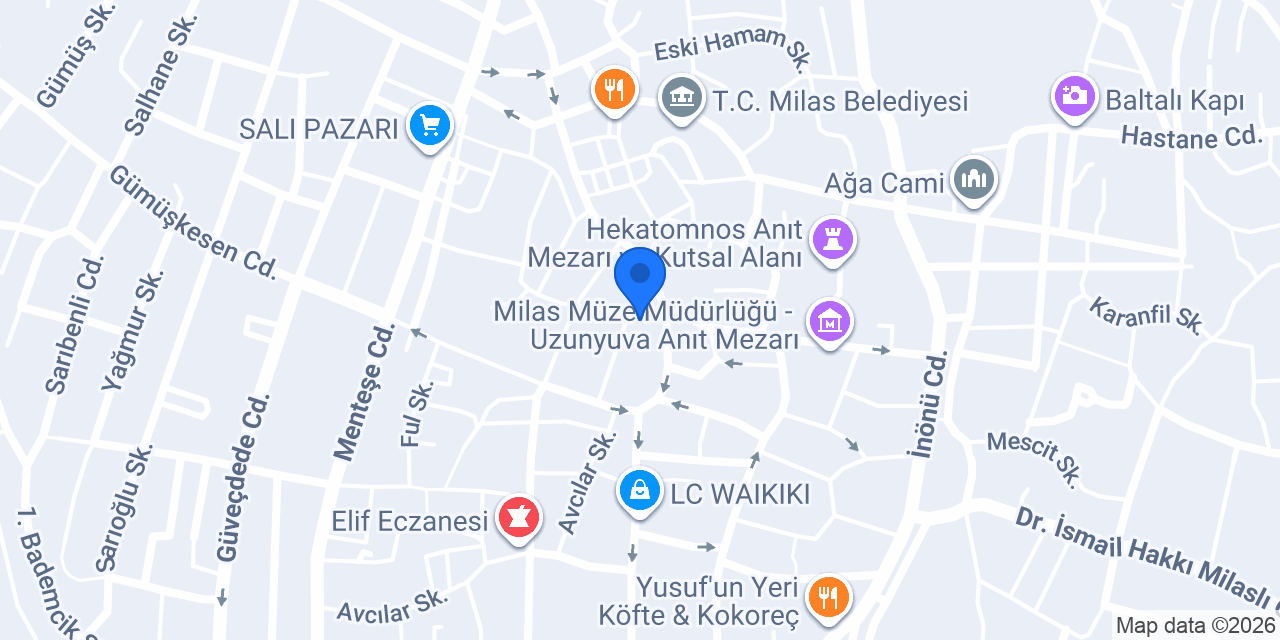 Milas Meşhur Arasta Kavurmacısı konumu