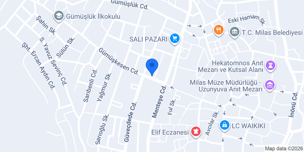 Bilge Elektronik konumu