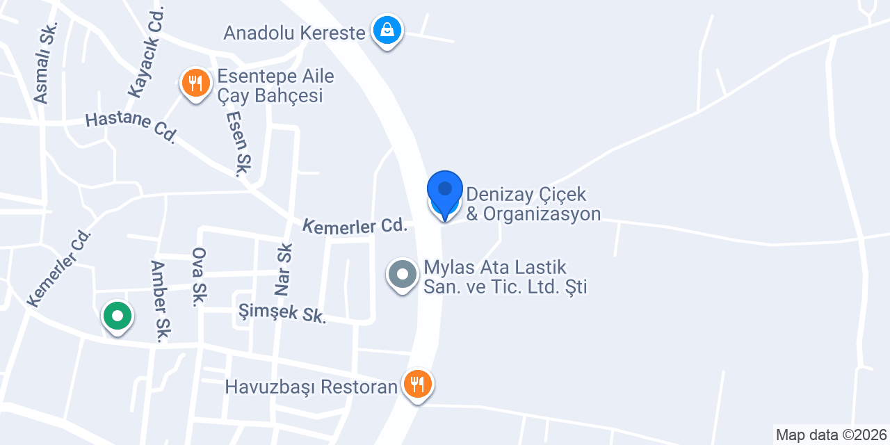 Suçet Motor Milas konumu