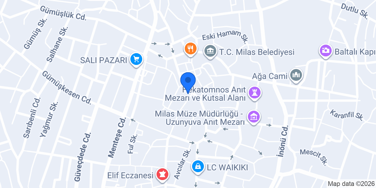 Milas Toprak Yatırım konumu