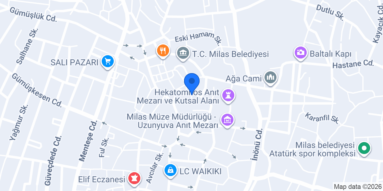 MİLAS EFE EMLAK konumu