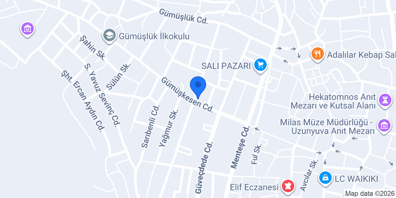 Birliğim Gıda konumu