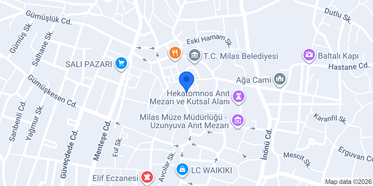 Mekan Hanımeli & Izgara Salonu konumu