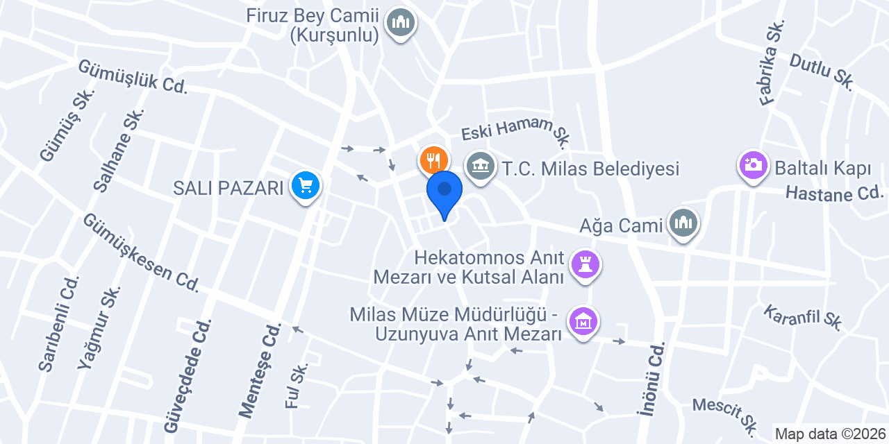 Begonvil Izgara konumu