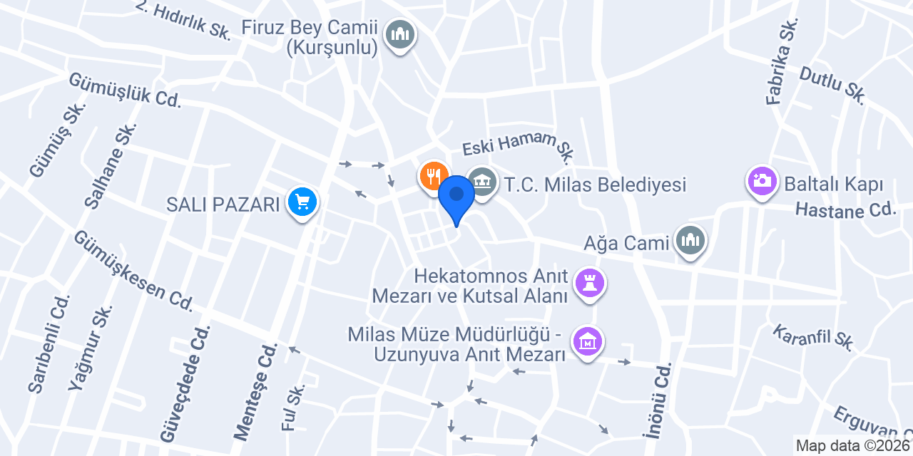Ege Emlak Milas konumu