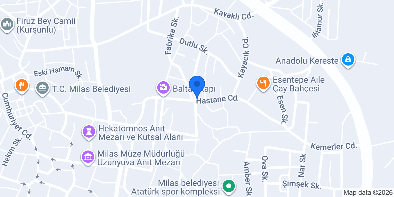 Mert Harita konumu