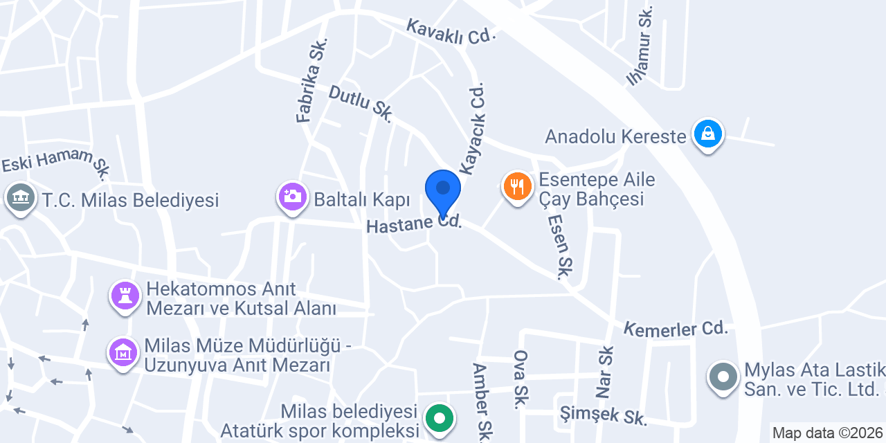 Milas Hastane Taksi konumu