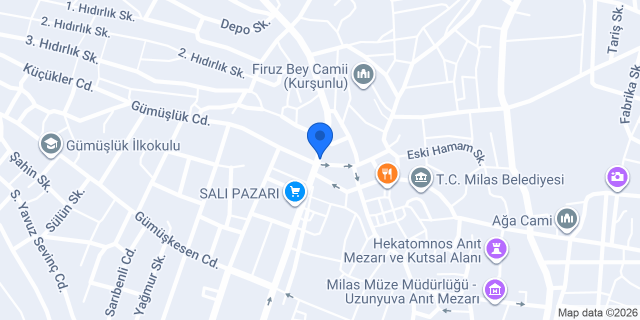 MİLAS UZMAN EMLAK konumu