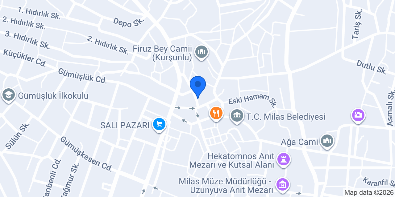 esense Home konumu